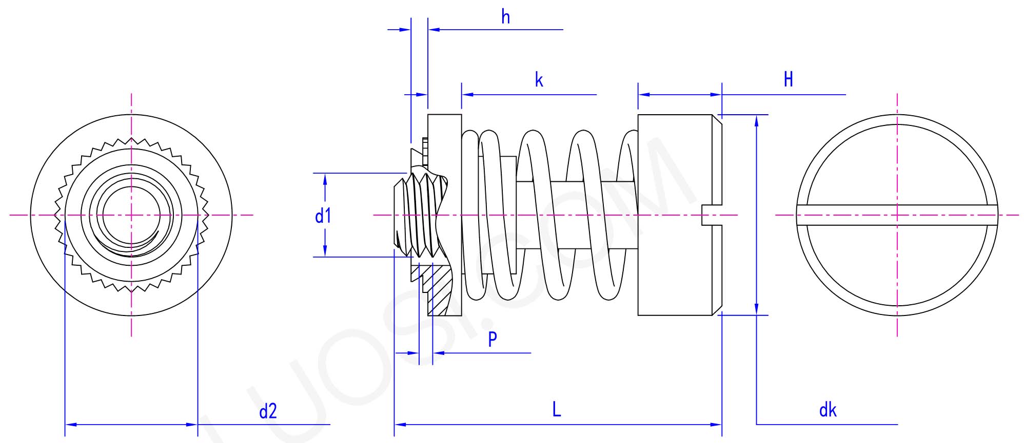Captive Spring Screw