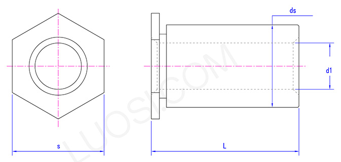 BW through hole flat head thread free hexagon riveted prop-Hardened stainless steel