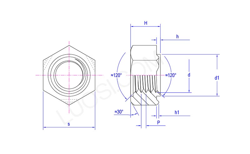 Hexagon Projection Weld Nuts