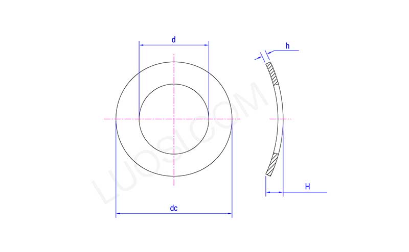 Stainless Steel Curved Spring Washer