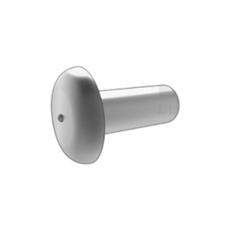 مسمار عموم الرأس